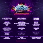 electric zoo flyer 2011